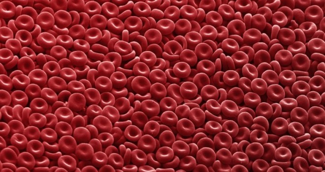 002-globulos_rojos-660x350